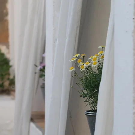 Ξενοδοχείο Bypillow Cluc Begur